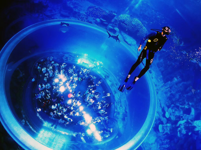 你的百潛是不是白潛了？