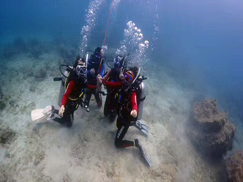 你的百潛是不是白潛了？