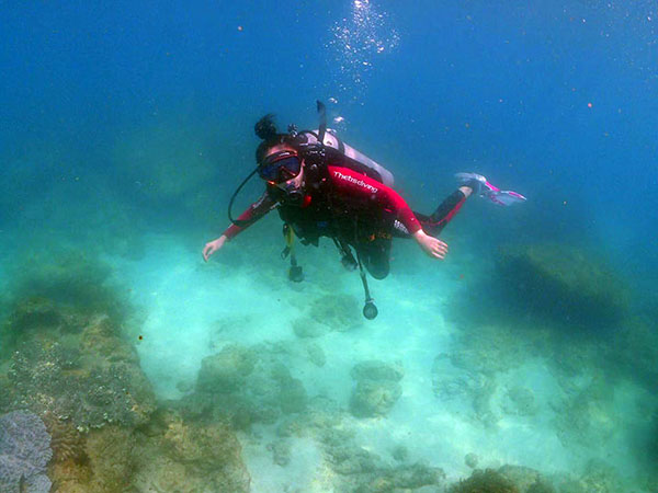 致可愛(ài)的潛水學(xué)員