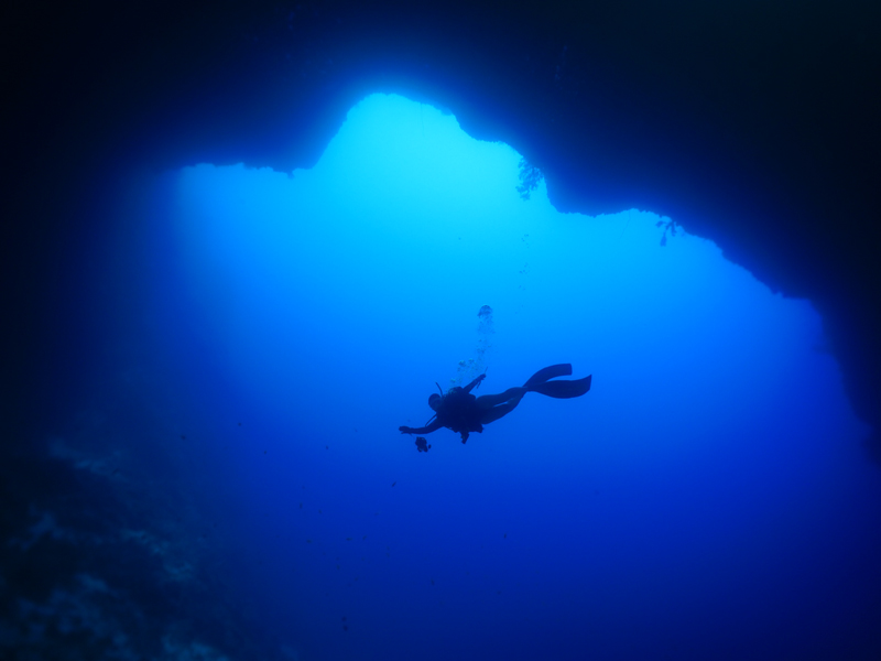 送給不會(huì )游泳卻向往海洋的你