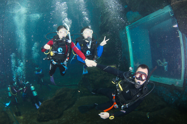 12/12正式上線(xiàn)！PADI 最新課程【休閑潛水員Resort Diver】 丨 一天拿證，潛遍全球