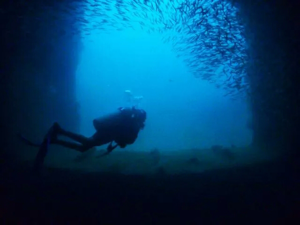 潛水拍照新姿勢，放下你的剪刀手，我們來(lái)這樣拍