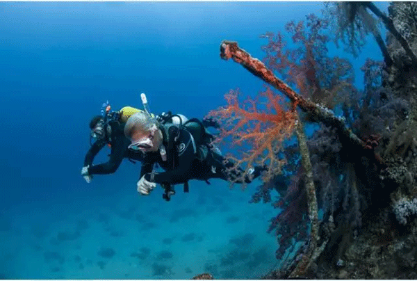 成為潛水員之前的你，是不是也問(wèn)過(guò)這些問(wèn)題？