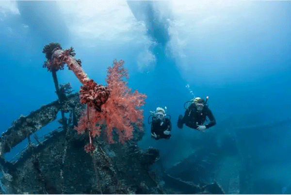 成為潛水員之前的你，是不是也問(wèn)過(guò)這些問(wèn)題？