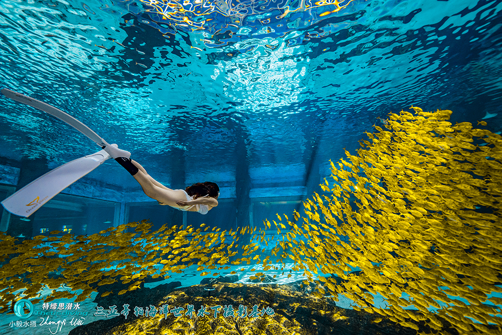 三亞水下攝影打卡地-蒂鉑海洋世界水攝項目上線(xiàn)了