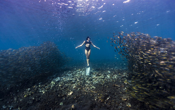 澳女子與魚(yú)群同游似美人魚(yú)
